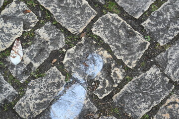 Old stone pavement with moss and pink flower petals. Natural street texture background. Historic cobblestone pattern, spring urban detail, travel concept