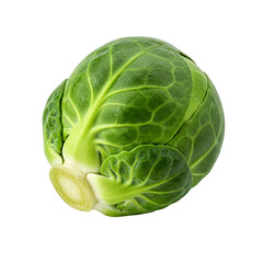 Fototapeta premium cabbage isolated on white background