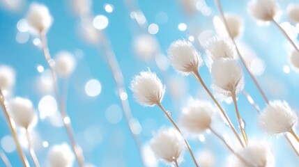 Fototapeta premium Delicate white flowers against a vibrant blue sky. Soft, fluffy blossoms, delicate stems rise against a bright blue backdrop, scattered with sparkling highlights. A gentle, airy feel