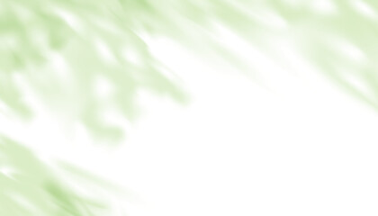 Green Leaves shadow silhouette,Abstract Branches leaves shadow reflection on wall,Tropical Leaf...