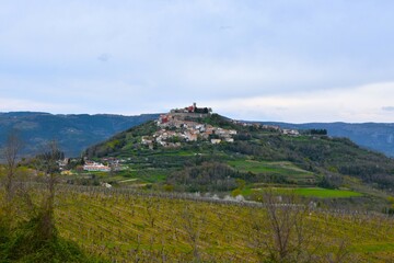View of Motovun old historic town at the top of a hill and vineyard in front in Istria, Croatia