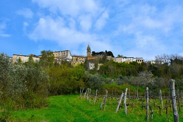 View of historic town of Motovun with trees and a vineyard bellow in Istria, Croatia