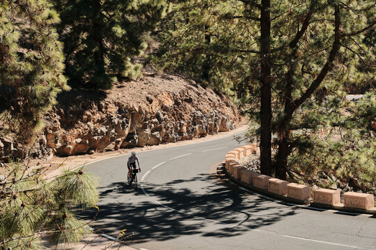 Cyclist on a scenic mountain road surrounded by lush pine trees. Perfect for travel, adventure, and sports themes. High-quality image ideal for websites, blogs, and social media.