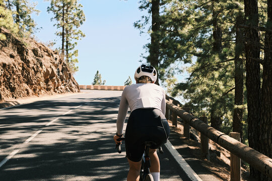 A cyclist rides along a scenic mountain road, surrounded by lush pine trees.  The sun casts long shadows, creating a picturesque atmosphere perfect for active lifestyle imagery.