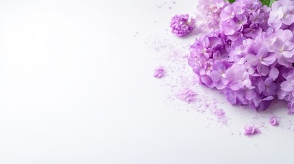 Fototapeta premium A cluster of delicate purple lilac flowers on a pristine white background, close-up composition with scattered petals, and floral elegance concept.