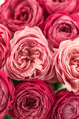 Happy mothers day, romantic still life, Woman's day, greeting card. Happy birthday. delicate pink roses in soft, dreamy light. evokes beauty, love, elegance. pastel tones and blurred background