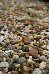 Small Colorful Pebbles Texture Background natural gravel surface with small multicolored pebbles of different shapes and sizes The stones create an organic texture ideal for backgrounds design element