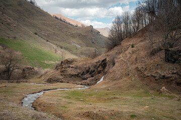 road to the mountains