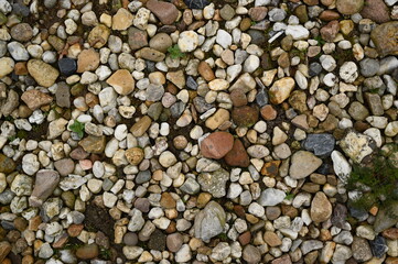 Pebble stone texture background with small colorful rocks and gravel