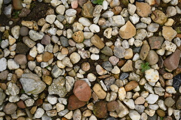 Pebble stone texture background with small colorful rocks and gravel