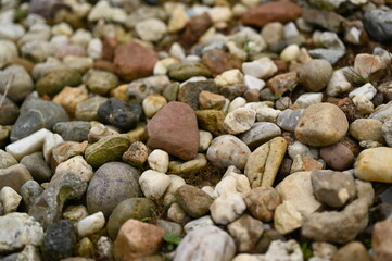 Pebble stone texture background with small colorful rocks and gravel