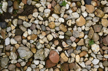 Pebble stone texture background with small colorful rocks and gravel