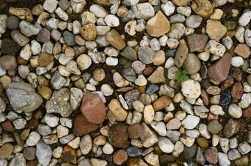 Pebble stone texture background with small colorful rocks and gravel