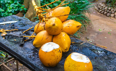 A branch of yellow coconut fruits on an old,  black table, Sri Lanka