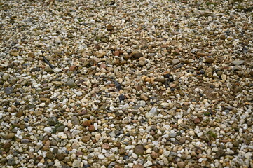 Pebble stone texture background with small colorful rocks and gravel