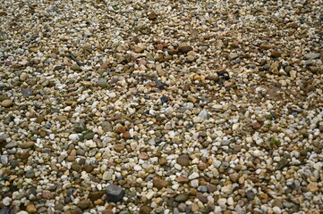 Pebble stone texture background with small colorful rocks and gravel