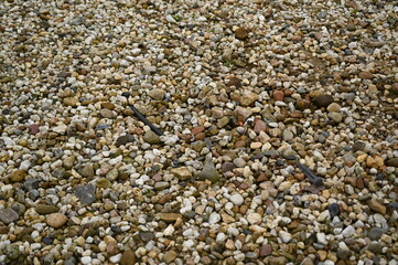 Pebble stone texture background with small colorful rocks and gravel