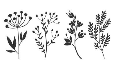 Botanical illustration of various hand-drawn wild plant silhouettes with leaves and berries in black on white background, perfect for nature, vintage, herbal, or decorative design projects
