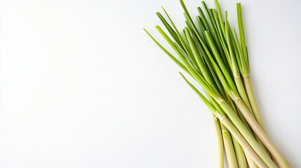 Fototapeta premium Aromatic lemongrass displayed against a clean white backdrop