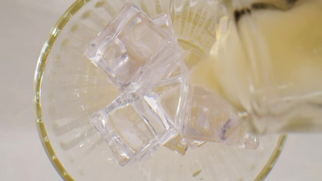 Kombucha tea, scoby fungus homemade Kombucha fermented drink, bacteria and yeast, fermentation, probiotic, Scoby, mushroom pro biotic, healthy fermented tea