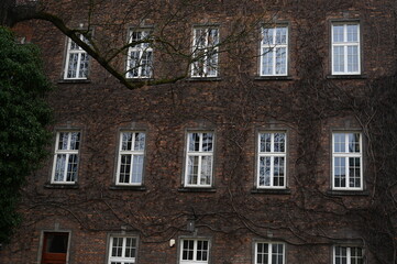 Old brick building with multiple white windows — classic European architecture. Perfect for urban design, real estate, travel, or historical city themes.
