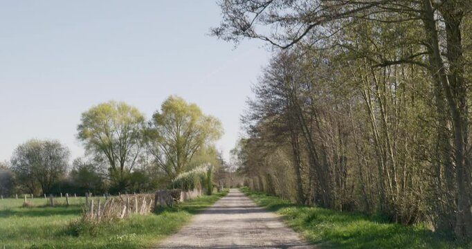 Straight path through the countryside, tilt down ; 4k 25fps