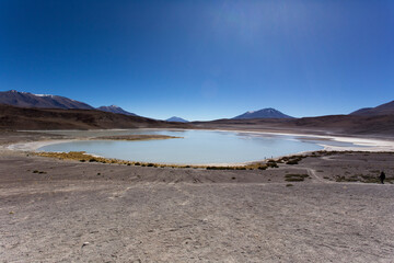 View of flamingos that gather in Uyuni lagoons
