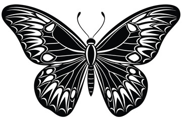 butterfly vector illustration on a white background.