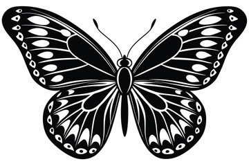 butterfly vector illustration on a white background.