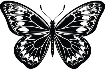 butterfly vector illustration on a white background.