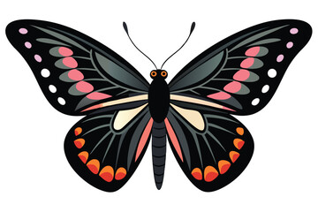 butterfly vector illustration on a white background.