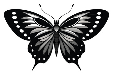 butterfly vector illustration on a white background.