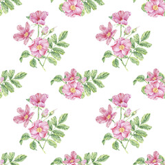 Seamless pattern Pink wild rose on stem with foliage watercolor illustration on white. Rosehip flower print hand drawn botanical sketch for printing on wallpaper, textile, tableware, wrapping paper