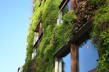 green facade with vertical garden on building modern eco-friendly building with vertical greenery and plants growing on the facade. green architecture concept promoting sustainability, biodiversity