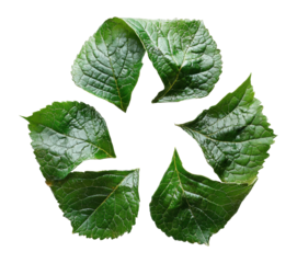 Symbol of chaos created with green leaves on a white background Generative AI