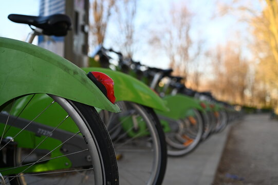 Row of green city rental bicycles parked outdoors in an urban park. Eco-friendly public transport concept, sustainable mobility, and healthy lifestyle. Modern green bikes lined up on a sunny day, read