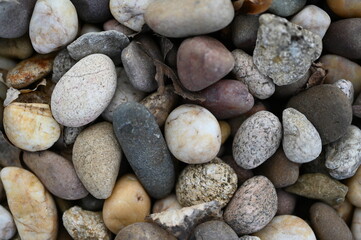 multicoloured decorative stones for lawn edging, artificial turf, decorative pebbles made of natural sandstone in blue and grey, large size mix coloured natural river sand stone pebble for garden deco