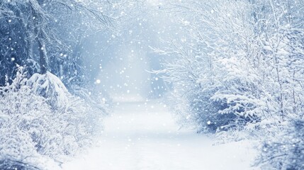 Snowy forest path in winter wonderland