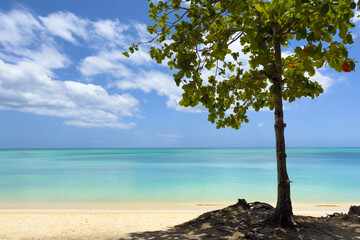 Beautiful tropical Mont Choisy Beach, Mauritius Island in indian ocean, blue cloudy sky background