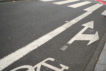 Urban bike lane with white road markings, pedestrian crosswalk and safety bollards on asphalt street.
