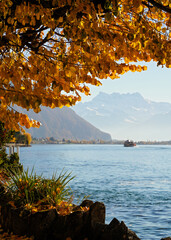 Switzerland,, Montreux lake view with yellow tree leafs. The most beautiful view
