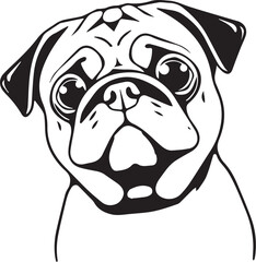 Pug dog. Hand drawn vector illustration