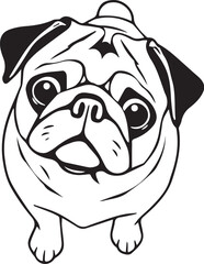 Pug dog. Hand drawn vector illustration