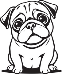 Pug dog. Hand drawn vector illustration