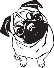 Pug dog. Hand drawn vector illustration