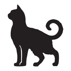 black cat silhouette
