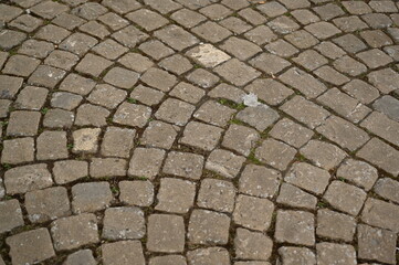 White triangular road markings on dark asphalt — clean urban traffic symbols ideal for transportation themes, road safety, street design and modern infrastructure visuals.