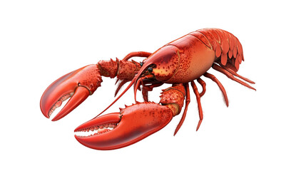Cooked lobster with a bright red shell and intact claws isolated on a transparent background