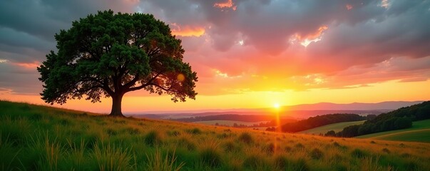 Sunset view under tree on green meadow with distant hills,  dusk,  horizon