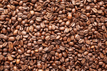 Organic Roasted Coffee Beans, top view.